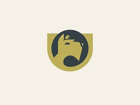 Pet Food Branding Design and Marketing