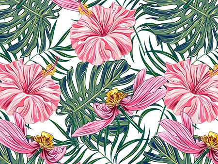 Poke Branding Design and Marketing