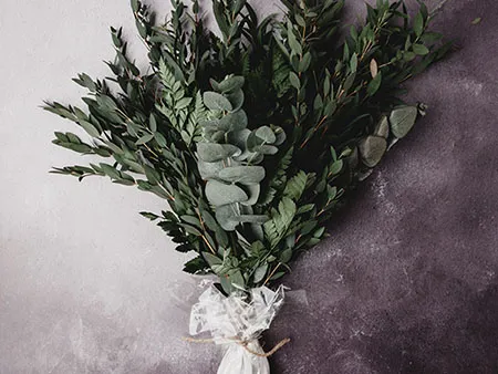 Olive Branding Design and Marketing