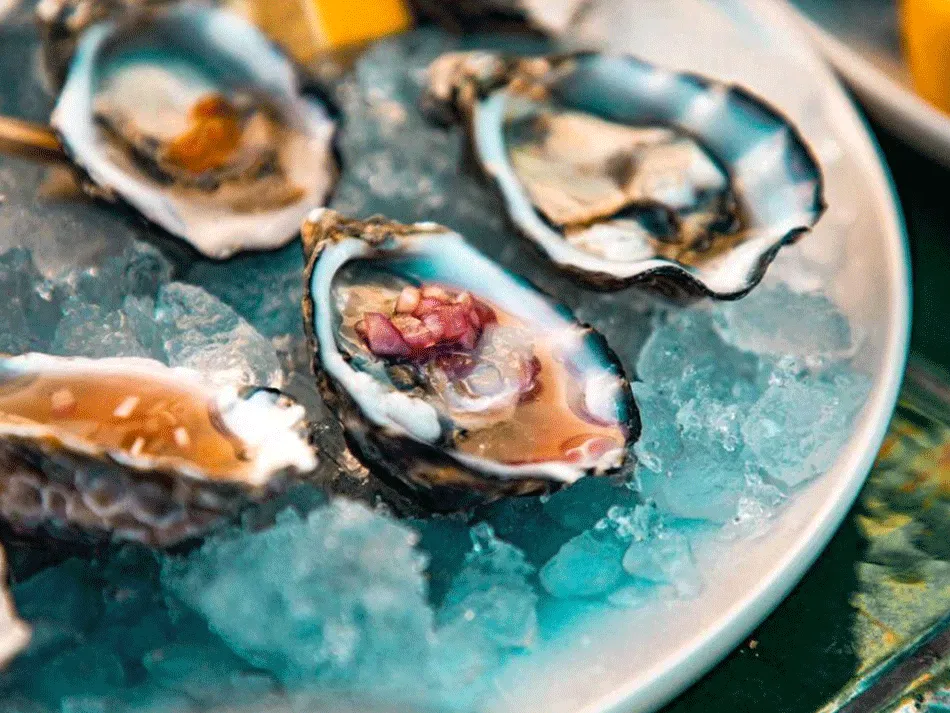 Food Branding Design and Marketing