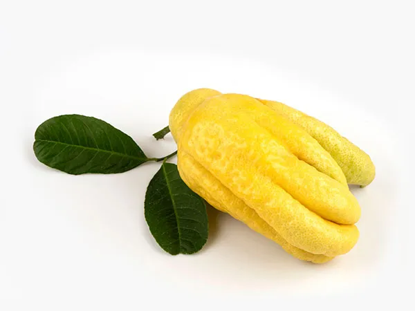 Beverage Branding Design and Marketing