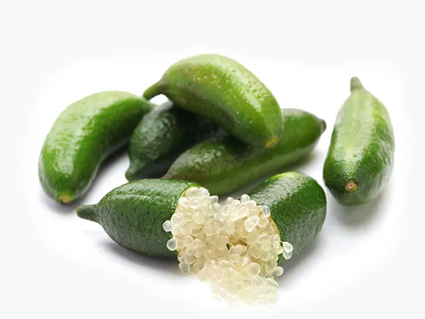 Beverage Branding Design and Marketing