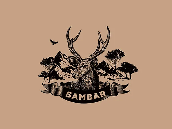 Beverage Branding Design and Marketing