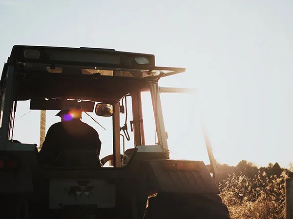 Meat Branding Design and Marketing