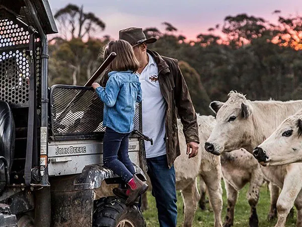 Meat Branding Design and Marketing