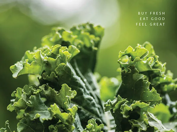 Food Branding Design and Marketing