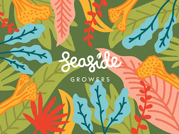 Food Branding Design and Marketing