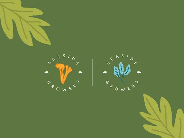 Food Branding Design and Marketing