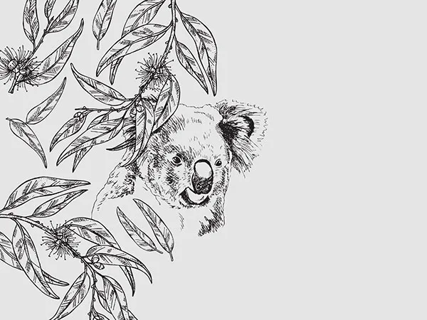 Environmental Branding Design and Marketing