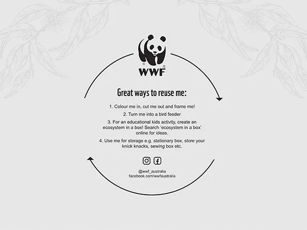 Environmental Branding Design and Marketing