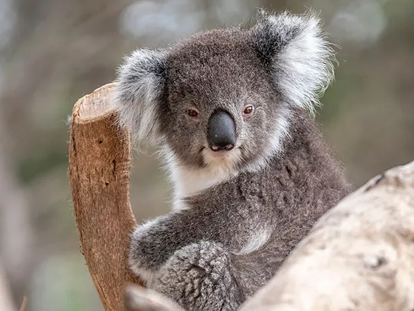 Environmental Branding Design and Marketing