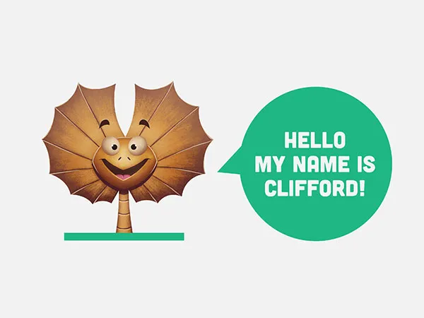 Beauty Branding Design and Marketing