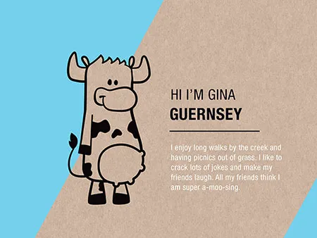 Cheese Branding Design and Marketing