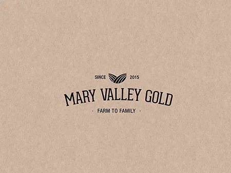 Cheese Branding Design and Marketing