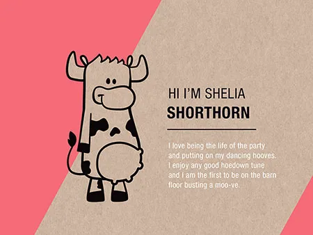 Cheese Branding Design and Marketing