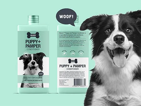 Pet Product Branding Design and Marketing
