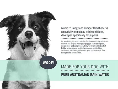 Pet Product Branding Design and Marketing