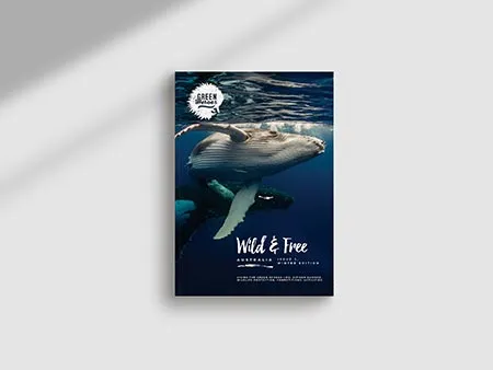 Environmental Branding Design and Marketing