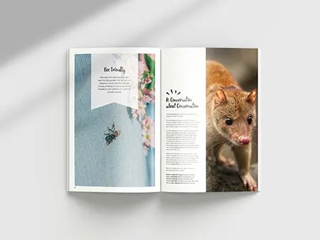 Environmental Branding Design and Marketing