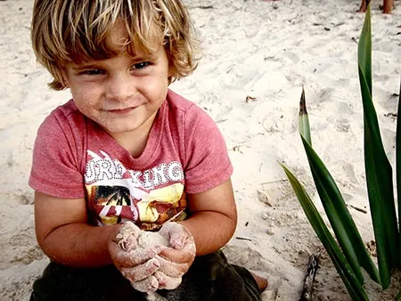 Environmental Branding Design and Marketing