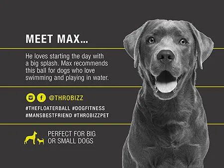 Pet Product Branding Design and Marketing